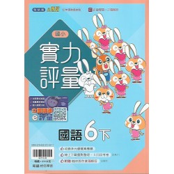 (6年級下)翰林實力評量國文