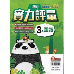 (3年級上)翰林實力評量國文